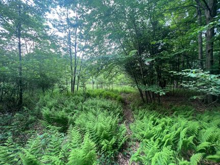 Property in Wayne County, Pennsylvania