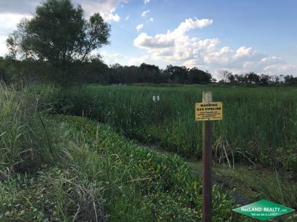 Property in Iberia Parish, Louisiana