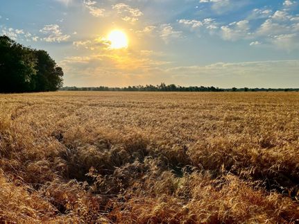 Property in Jasper County, Missouri