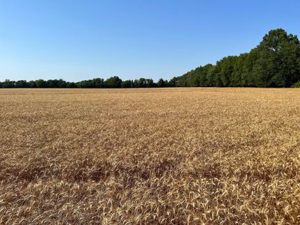 Property in Jasper County, Missouri