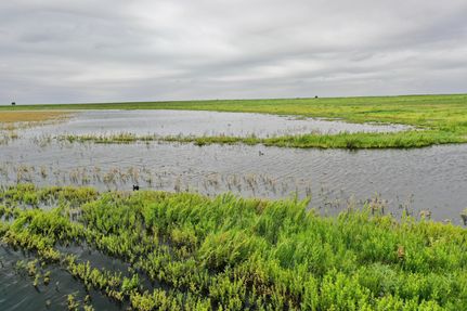 Property in Swisher County, Texas