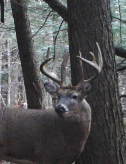 Property in Shawano County, Wisconsin