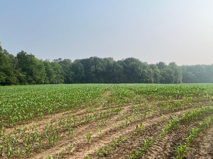 Property in Lorain County, Ohio