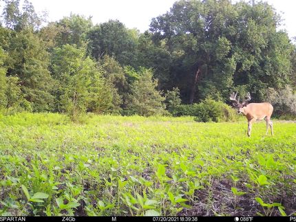 Property in Sullivan County, Missouri