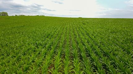 Property in Seward County, Nebraska