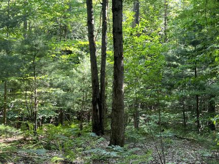 Property in Oswego County, New York