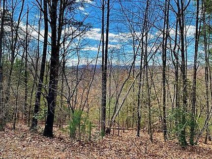 Property for sale in Wilkes County, North Carolina