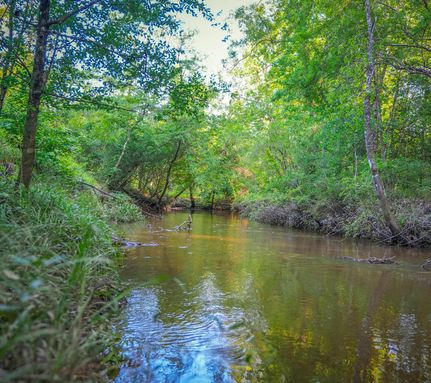 Property in Tyler County, Texas