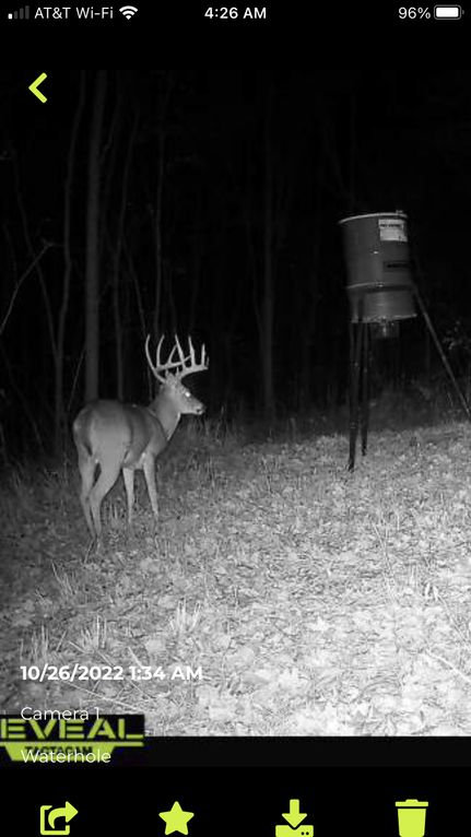 Property in Adair County, Kentucky