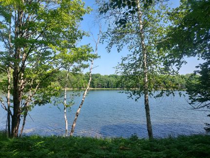 Property in Vilas County, Wisconsin