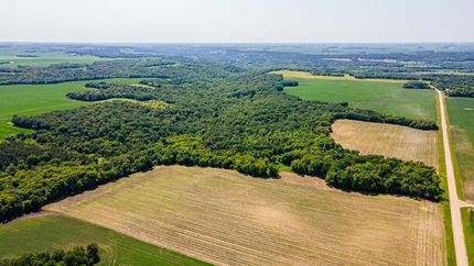 Property in Renville County, Minnesota