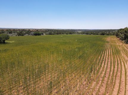Property in La Plata County, Colorado