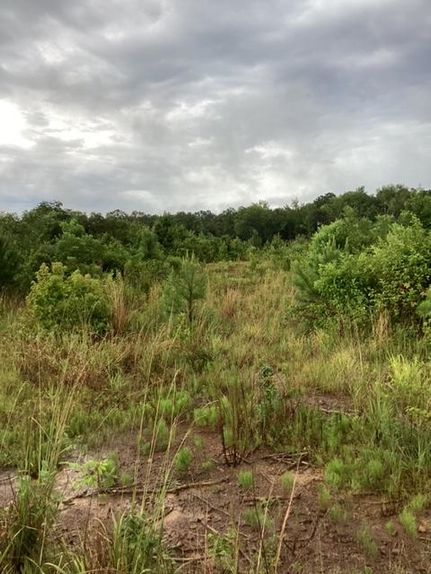 Property in Clarke County, Mississippi