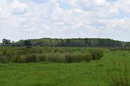 Property in Lake County, Florida