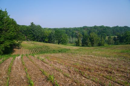 Property in Burnett County, Wisconsin