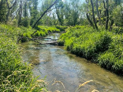 Property in Lafayette County, Wisconsin