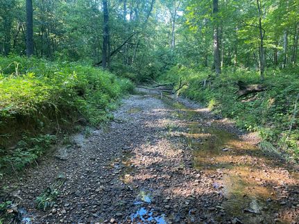 Property in Clark County, Illinois