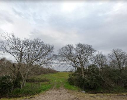 Hunting Land for sale in Brazoria County, Texas