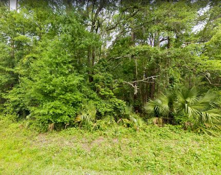 Property in Taylor County, Florida