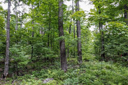 Property in Forest County, Wisconsin
