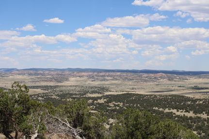Property in Catron County, New Mexico