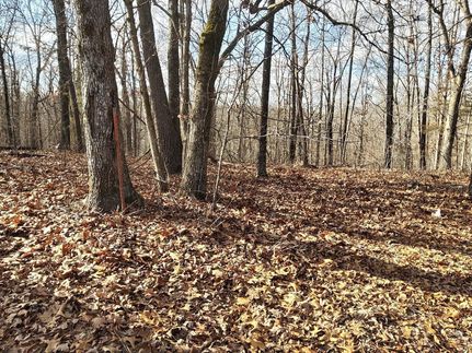 Property in Boone County, Arkansas