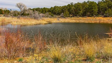 Property in San Juan County, Utah