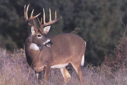 Property for sale in Crockett County, Texas