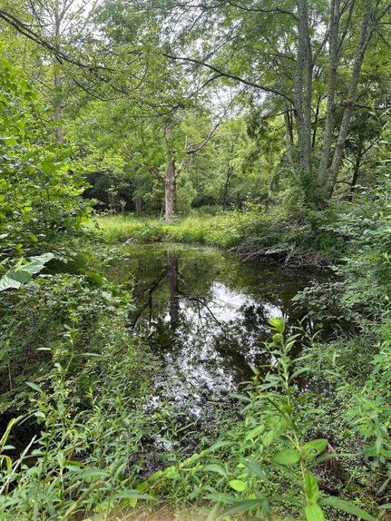 Property in Madison County, Missouri