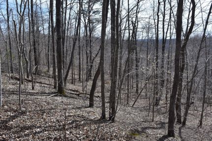 Property in Elliott County, Kentucky