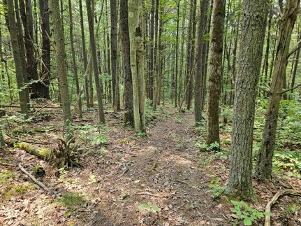 Property in Chemung County, New York