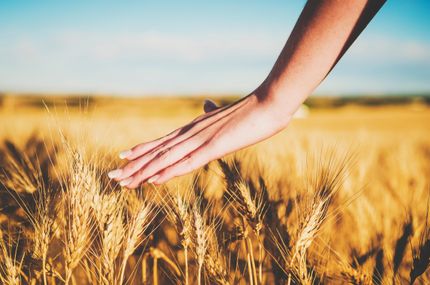 Property in Alfalfa County, Oklahoma