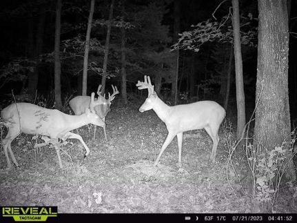 Property in Morgan County, Missouri