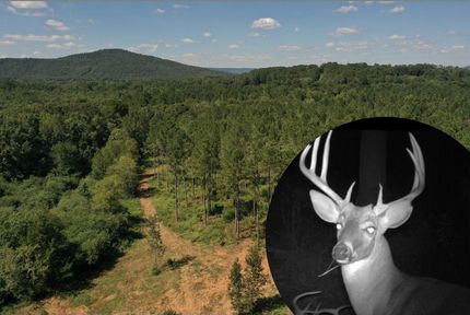 Property in Jackson County, Alabama