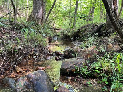 Property in Randolph County, Alabama