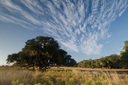 Property in Polk County, Florida