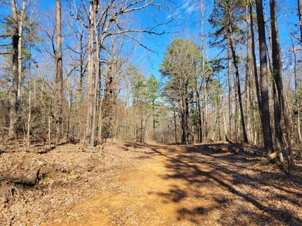 Hunting Land for sale in Cass County, Texas