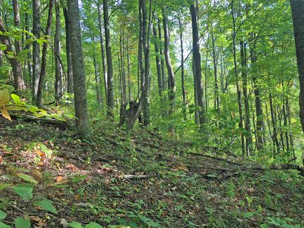 Undeveloped Land for sale in Haywood County, North Carolina