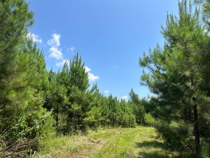 Property in Clarke County, Alabama