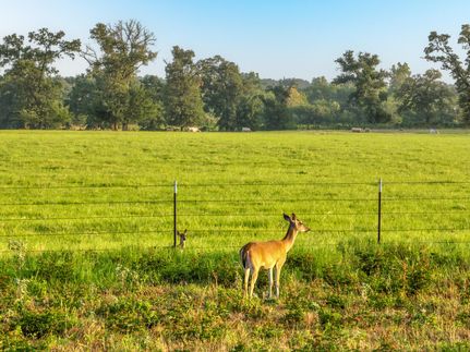 Property in Falls County, Texas