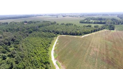 Property in Morehouse Parish, Louisiana