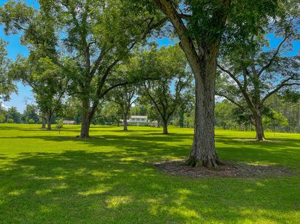 Property in Randolph County, Georgia