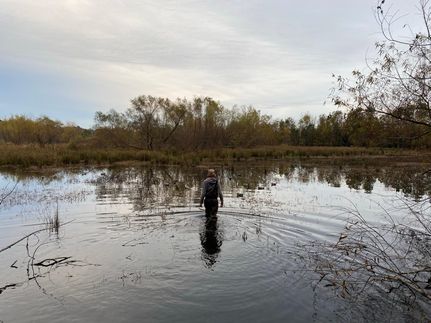 Property in Hampton County, South Carolina