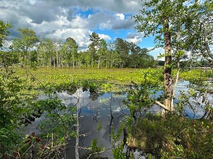 Property in Lexington County, South Carolina