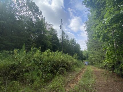 Property in Etowah County, Alabama
