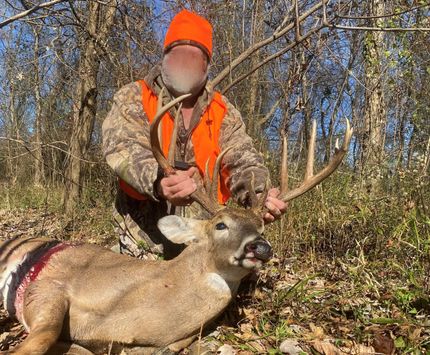 Property in Gallatin County, Illinois