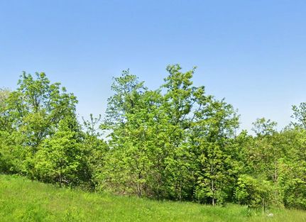 Property in Fayette County, Pennsylvania