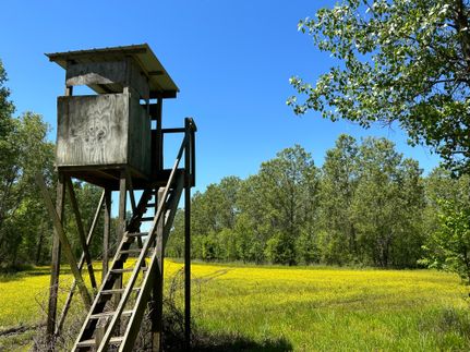 Property in Issaquena County, Mississippi