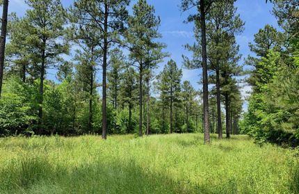 Property in Cherokee County, Alabama