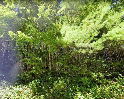 Property in Polk County, North Carolina